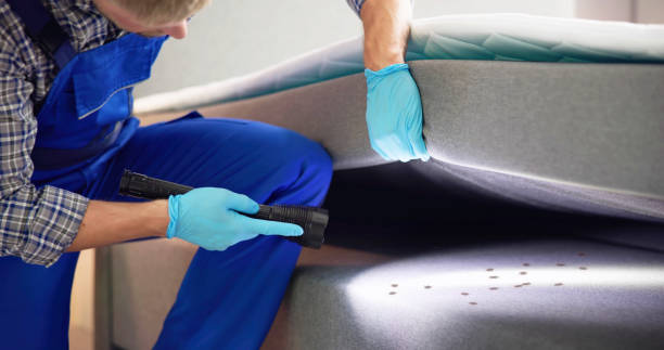 Best Affordable Exterminators  in Hutto, TX