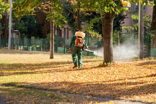 Best Emergency Pest Control  in Hutto, TX
