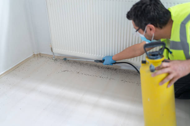 Best Pest Inspection Near Me  in Hutto, TX