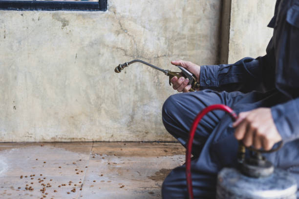 Best Residential Pest Control  in Hutto, TX